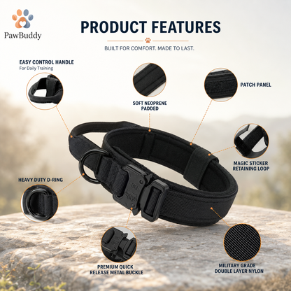 Dog Collar
