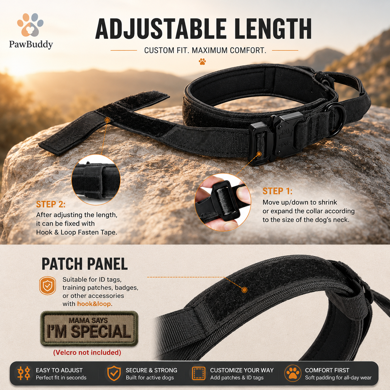 Dog Collar