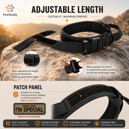 Dog Collar