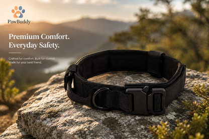 Dog Collar