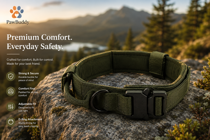 Dog Collar