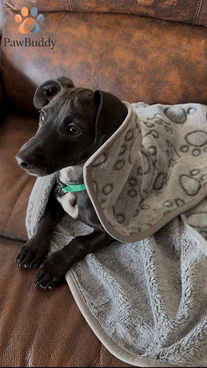 PawBuddy™ Paw Print Fleece Blanket