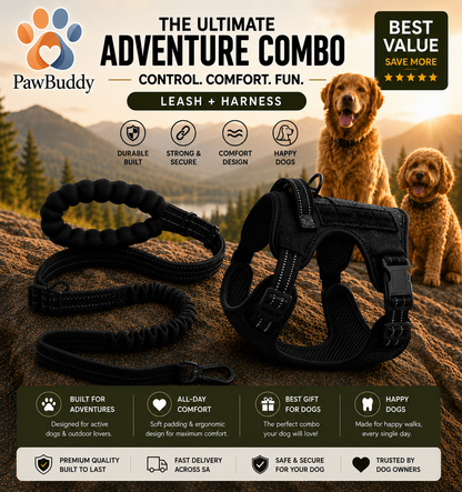 Combo Harness